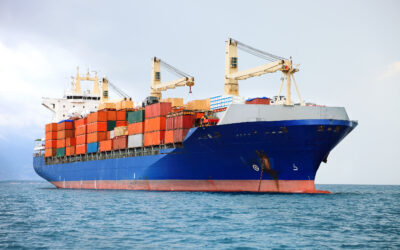 FCL vs LCL: Which Sea Freight Option Is Right for You?